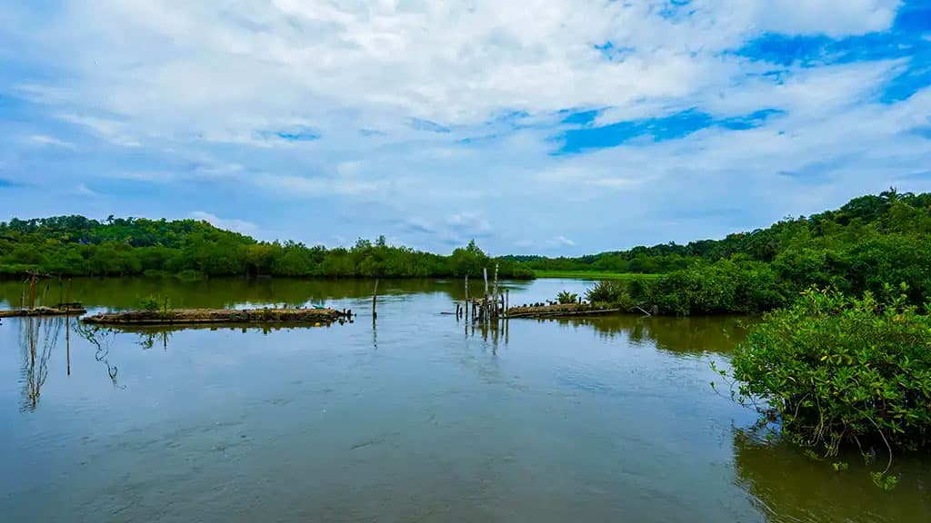 Vellikkeel Eco Park