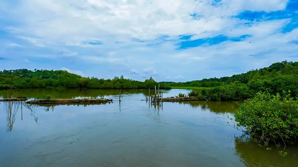 Vellikkeel Eco Park