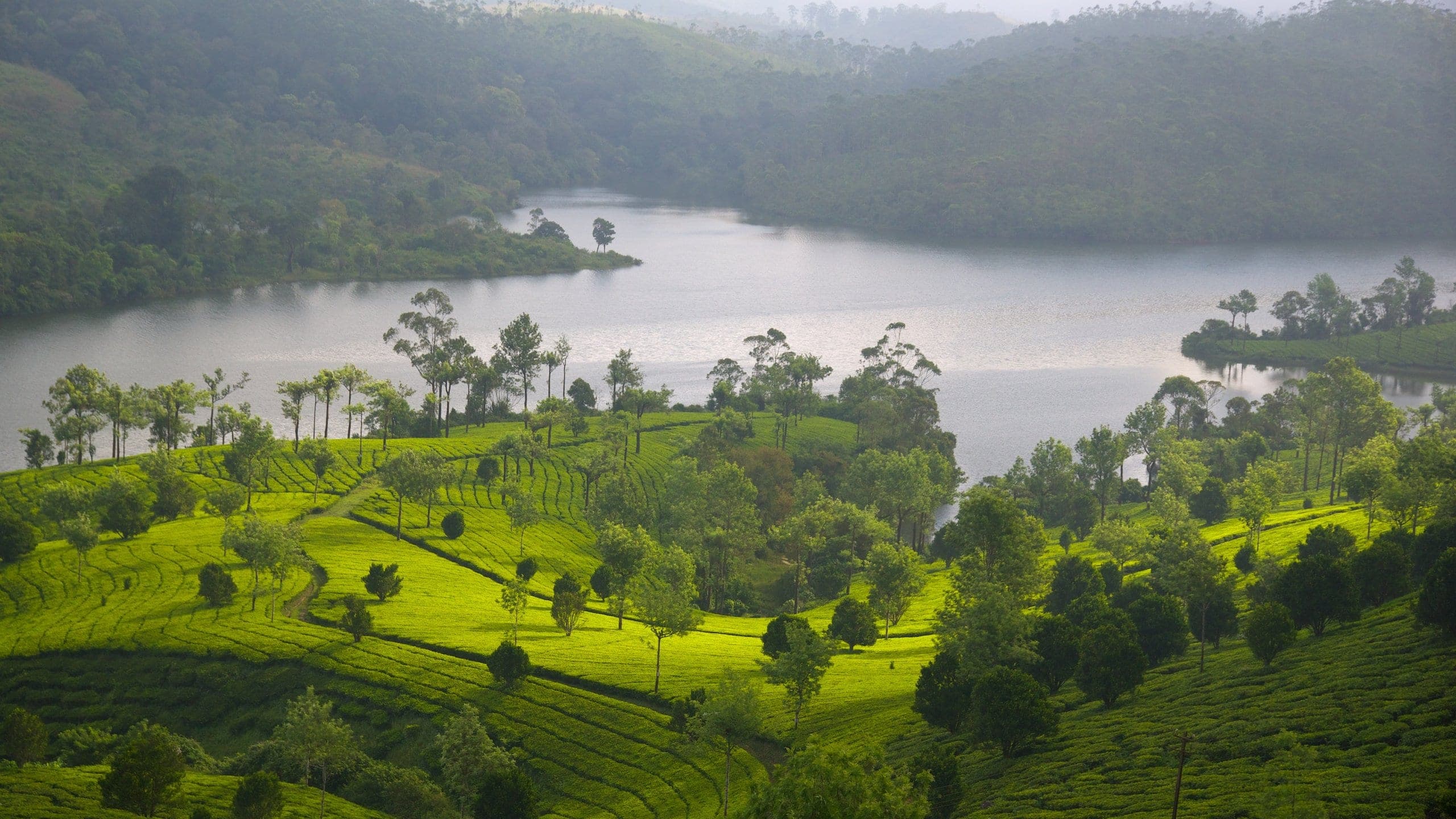 MUNNAR-VAGAMON